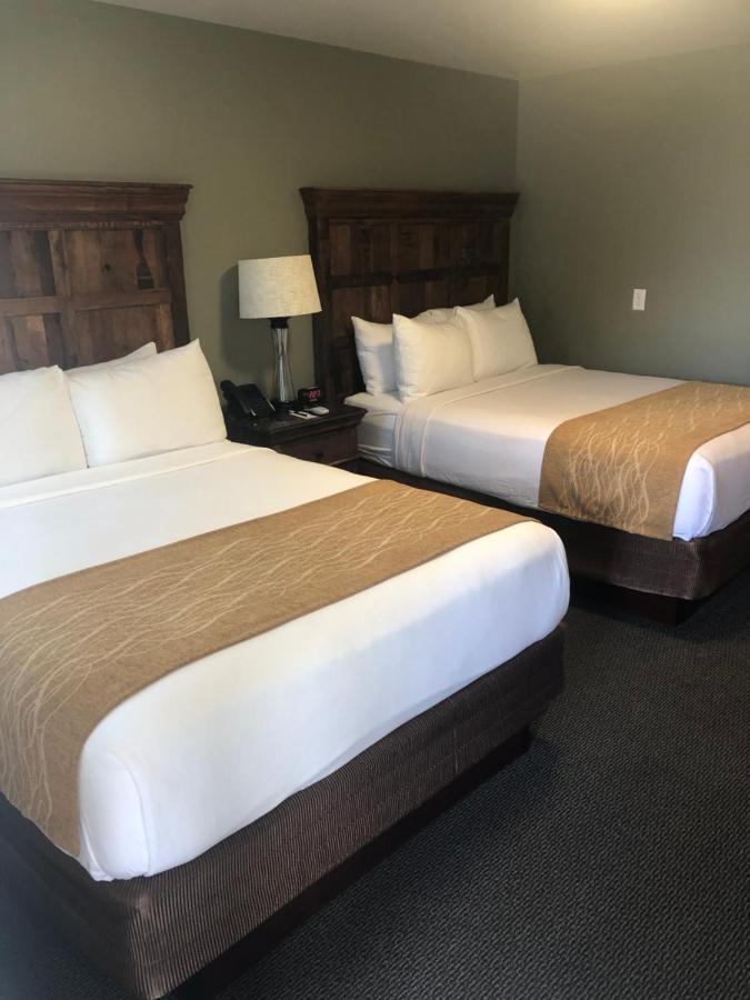 The Roosevelt Hotel - Yellowstone Gardiner Extérieur photo